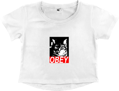 Obey cat