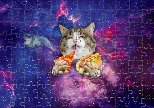 Котик в космосі та з їжею