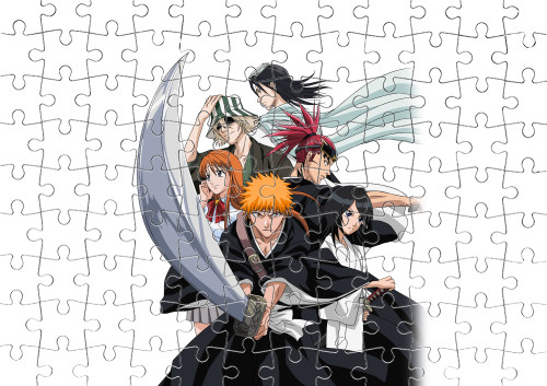 BLEACH (9)