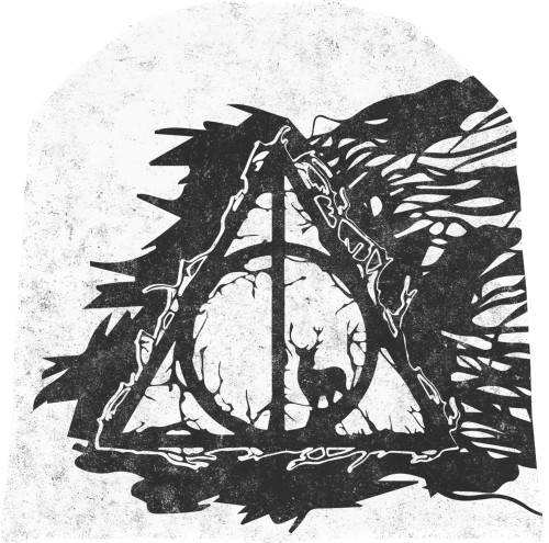 HARRY POTTER (16)