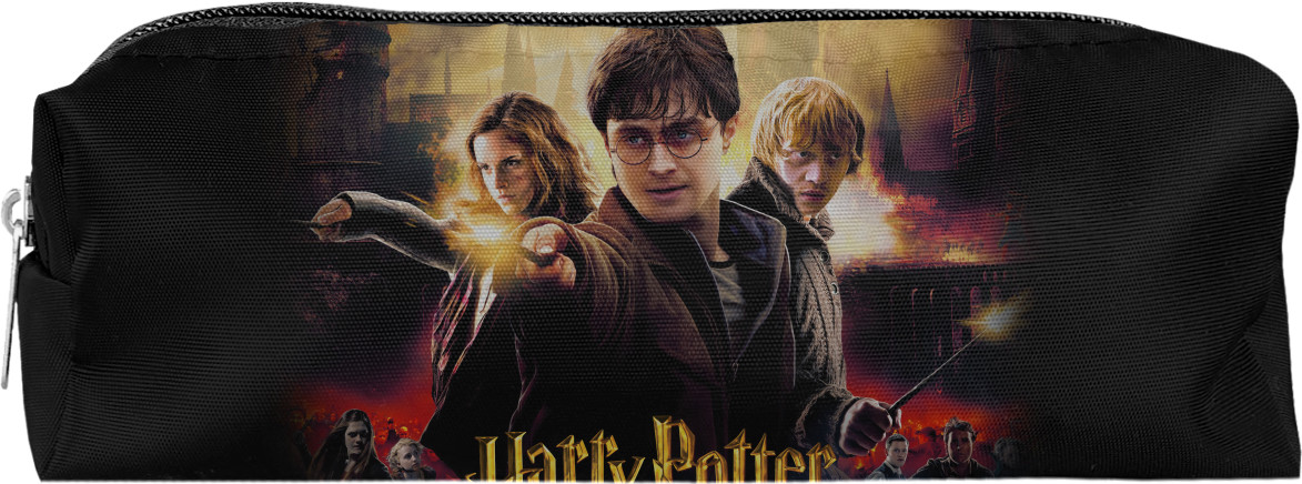 HARRY POTTER (22)