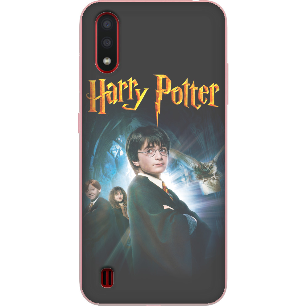 HARRY POTTER (23)