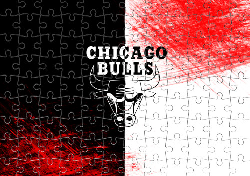 Chicago Bulls [10]