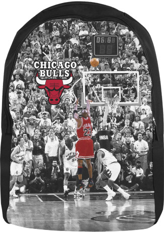 Chicago Bulls [8]