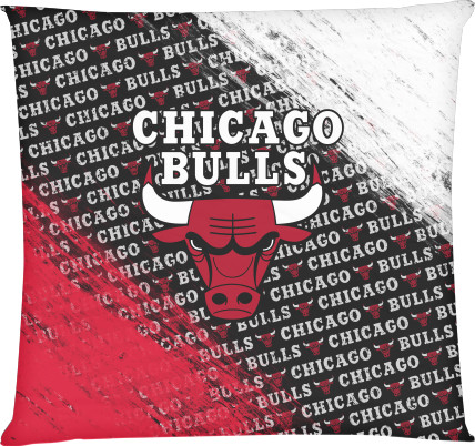 Chicago Bulls [6]