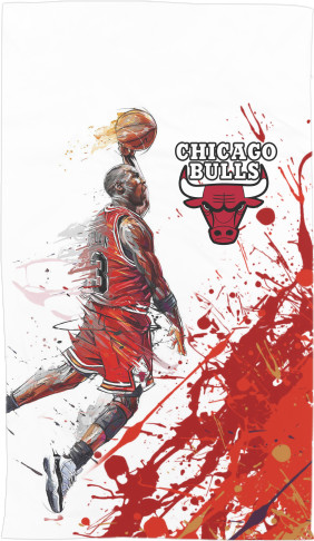 Chicago Bulls [12]