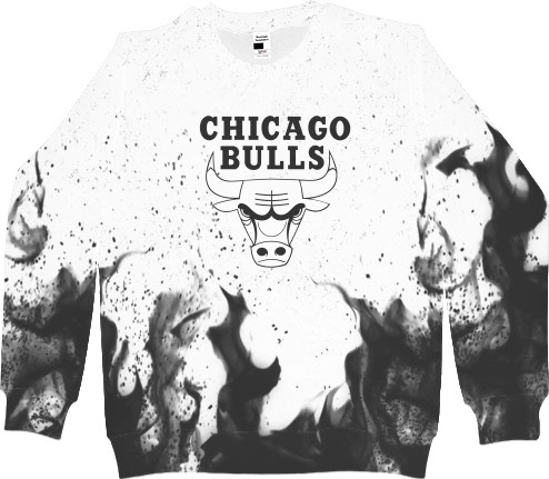 Chicago Bulls [11]