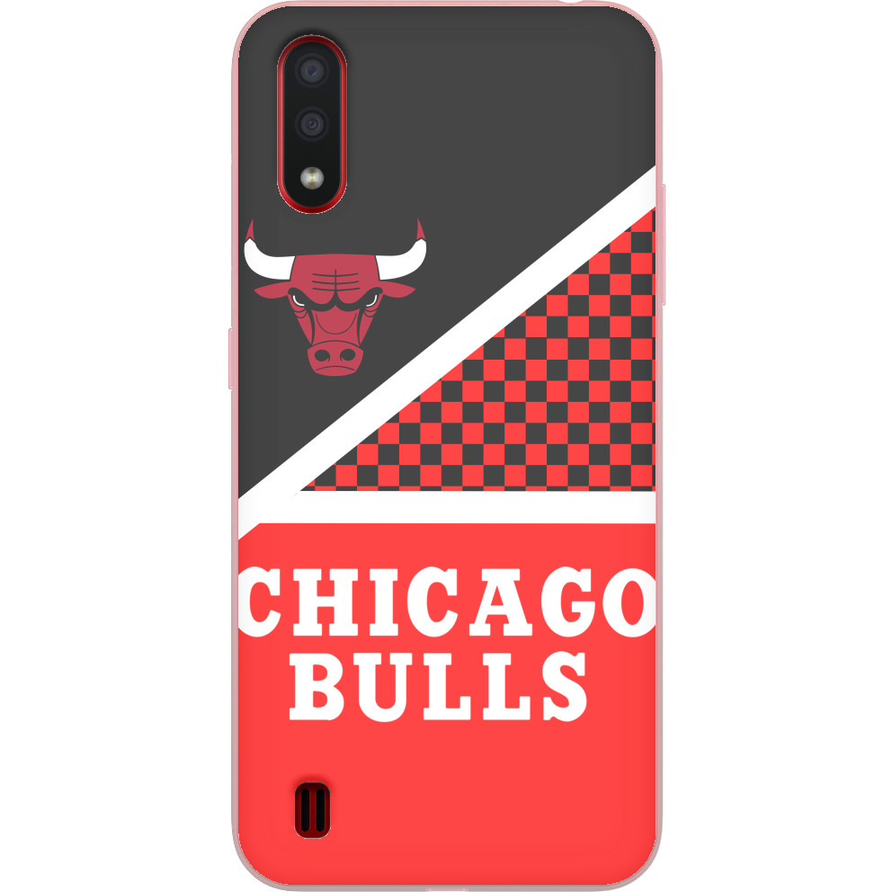 Chicago Bulls [13]