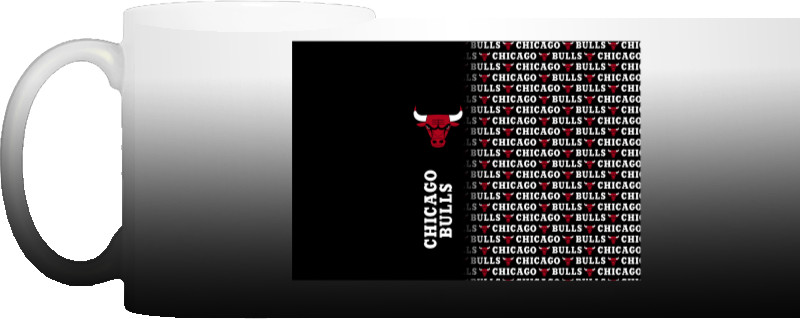 Chicago Bulls [7]