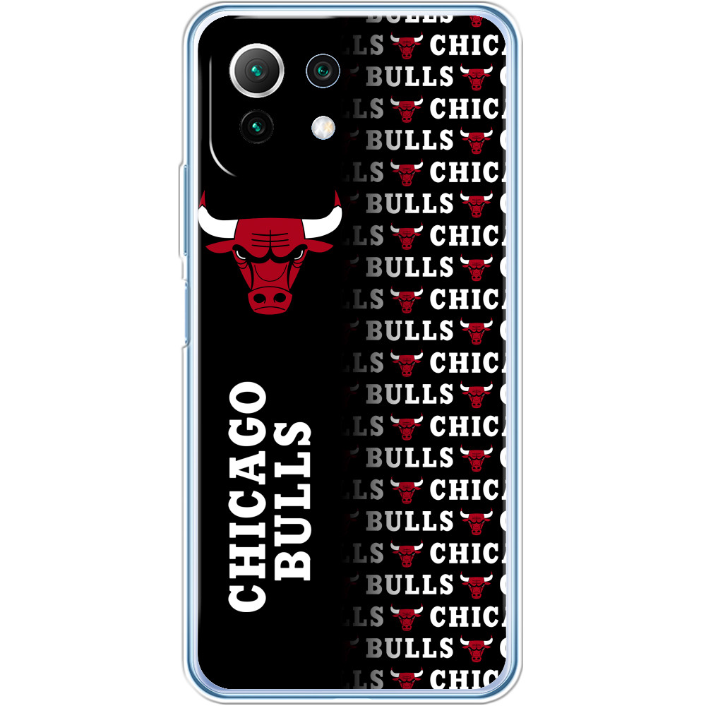 Chicago Bulls [7]