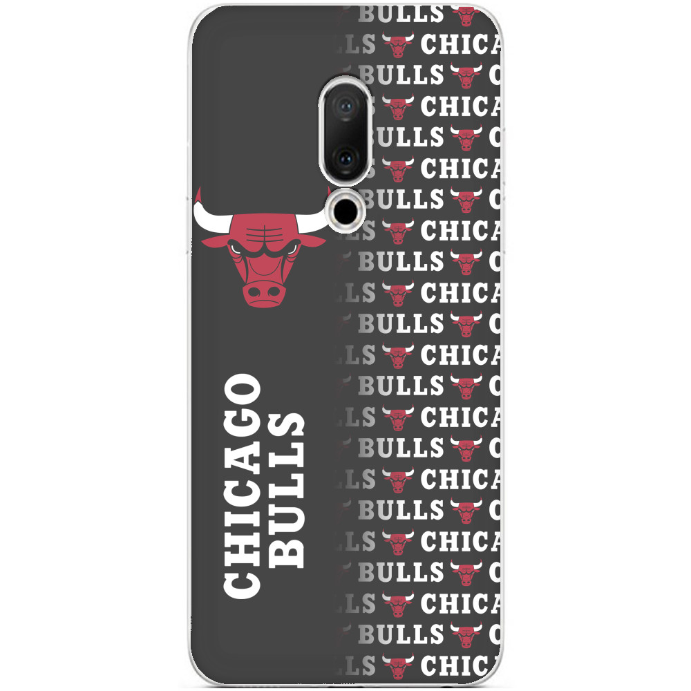 Chicago Bulls [7]