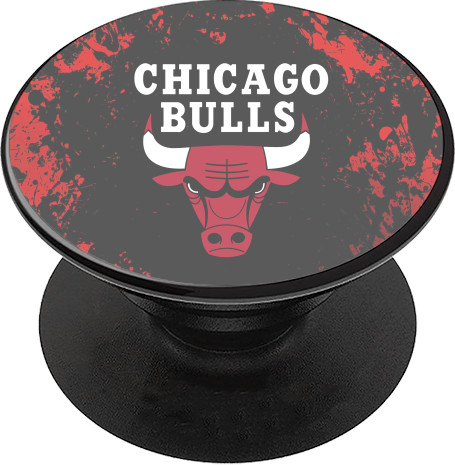 Chicago Bulls [5]