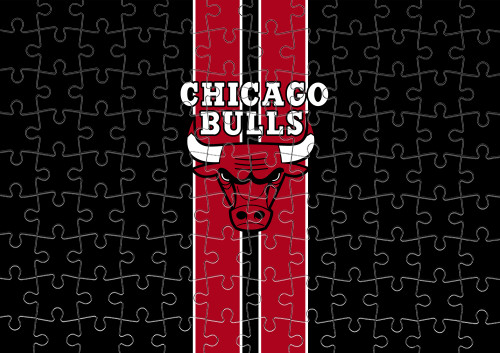 Chicago Bulls [3]