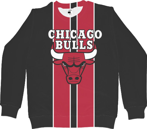 Chicago Bulls [3]