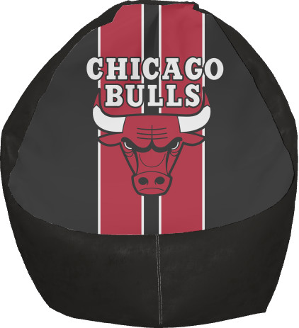 Chicago Bulls [3]