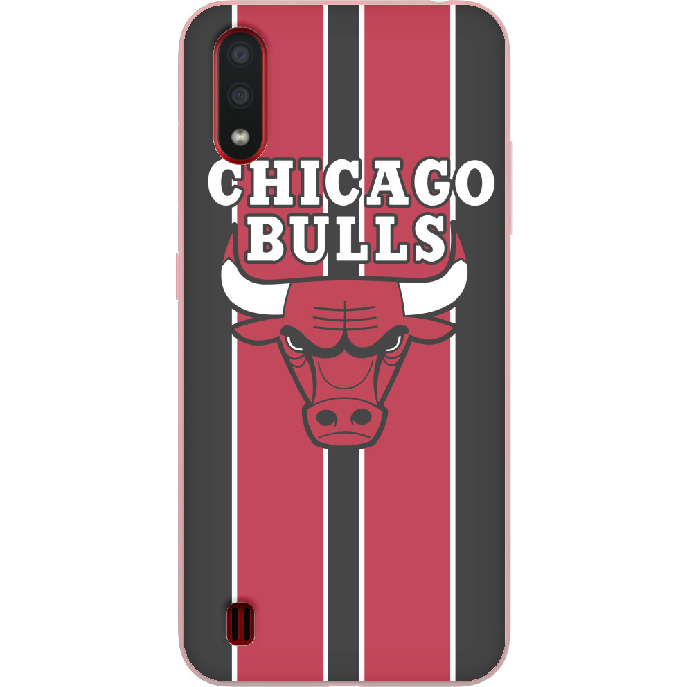 Chicago Bulls [3]