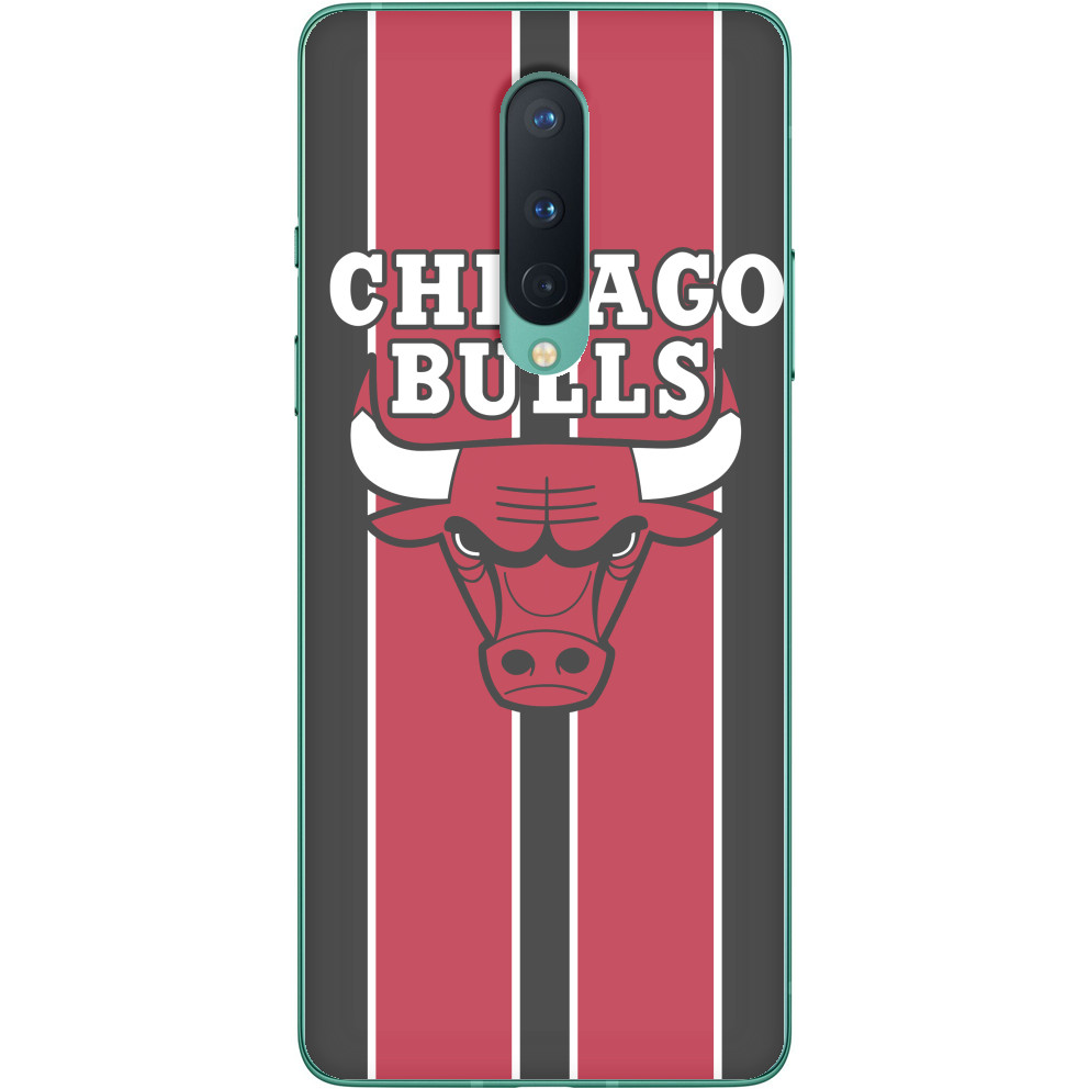Chicago Bulls [3]