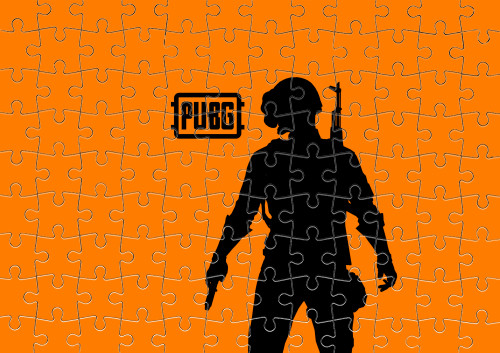 PUBG (12)