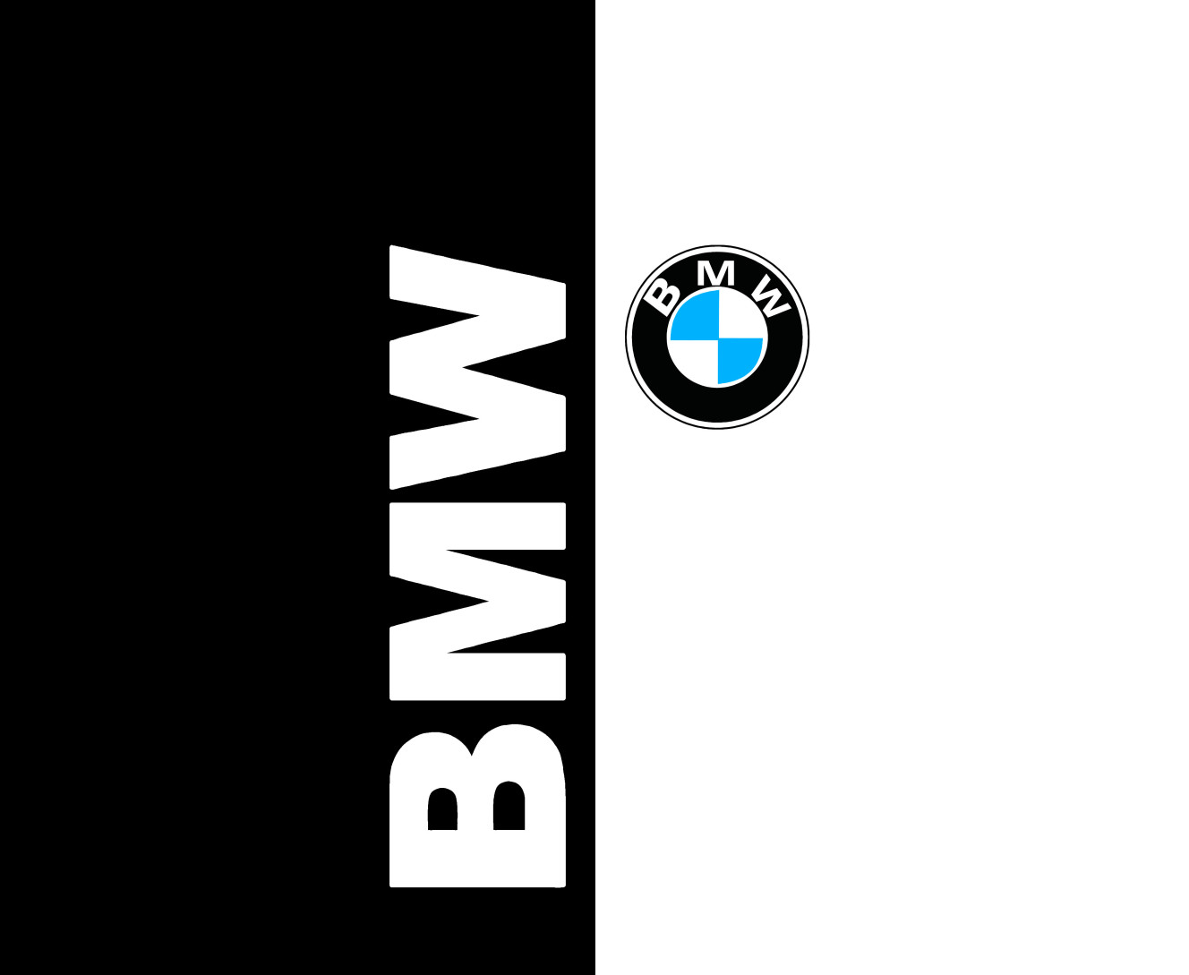BMW (6)