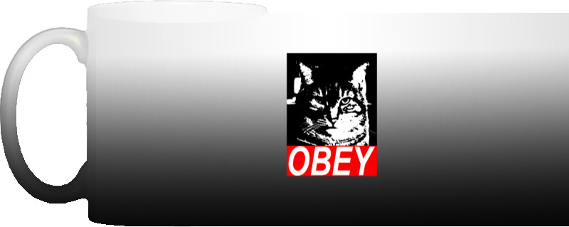 Obey cat