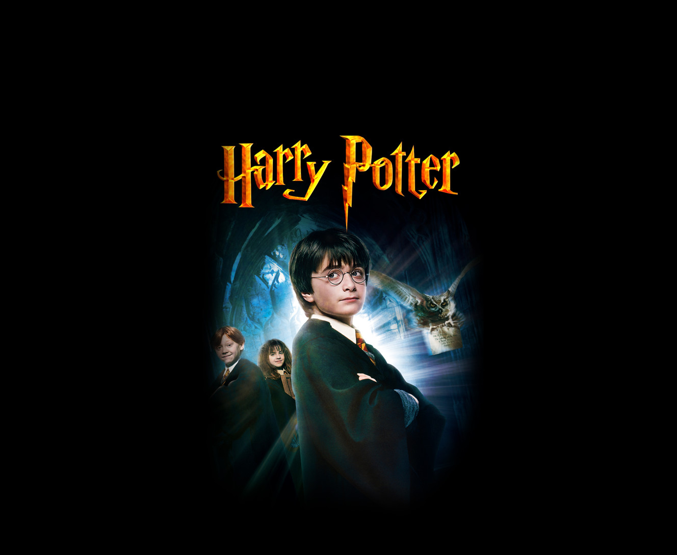 HARRY POTTER (23)