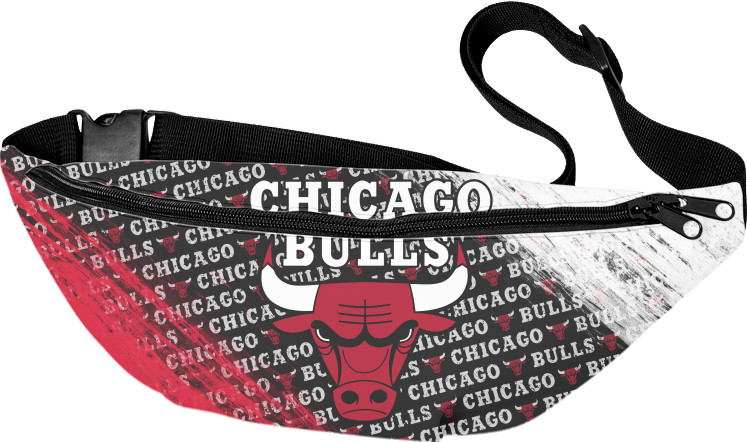 Chicago Bulls [6]