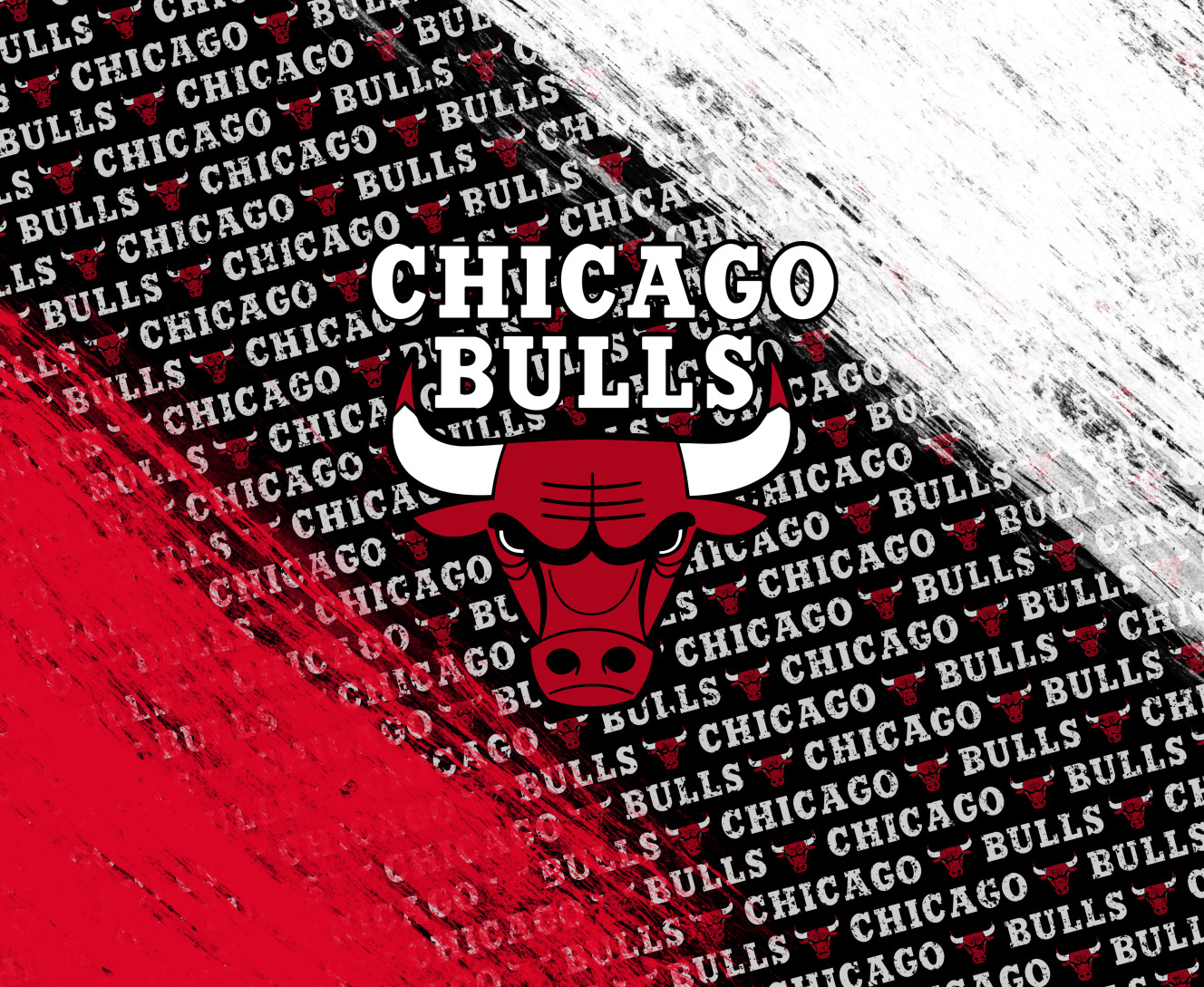 Chicago Bulls [6]