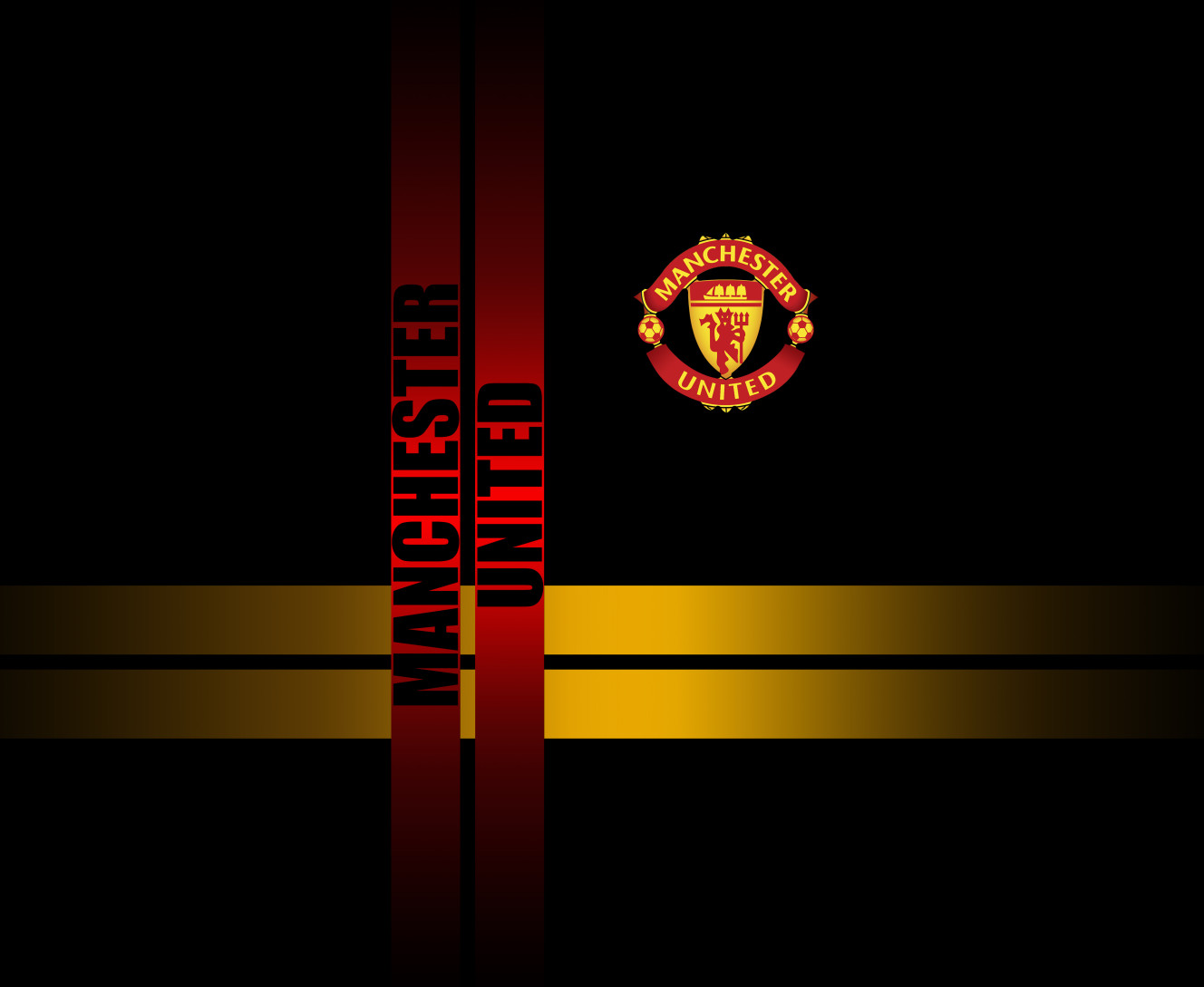 manchester united [3]