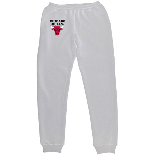 Chicago Bulls (1)