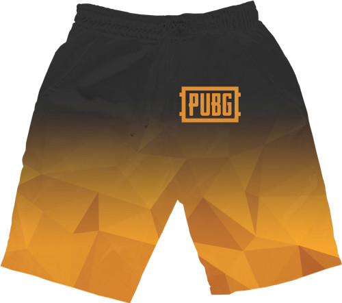 PUBG (10)