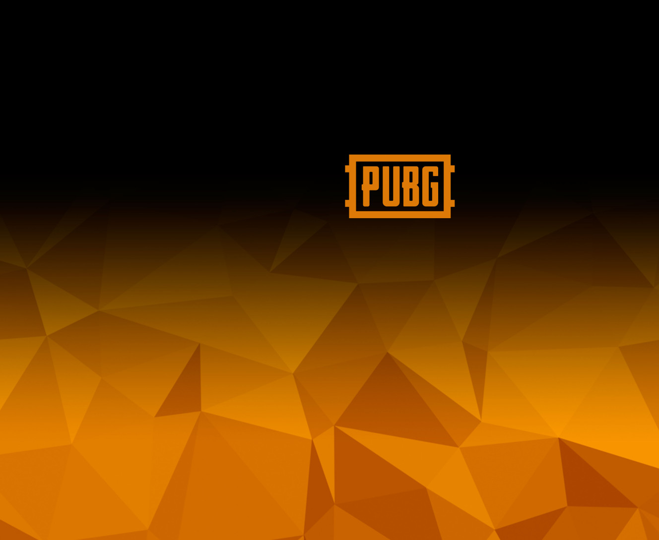 PUBG (10)