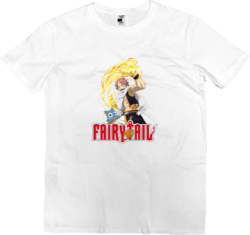 Fairy Tail (1)