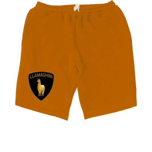 Lamborghini - Kids' Shorts - LLAMAGHINI - Mfest