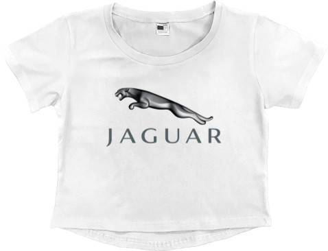 Jaguar 4