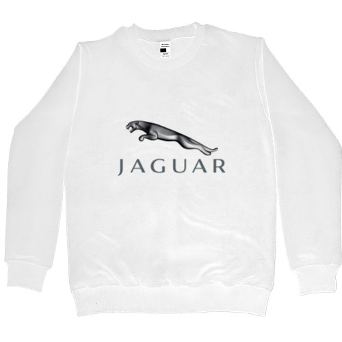 Jaguar 4
