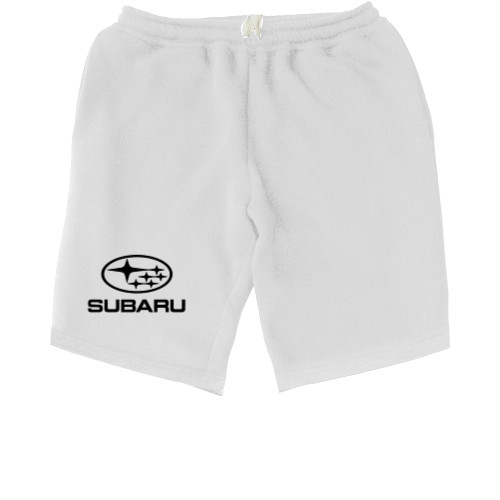 SUBARU - LOGO 2