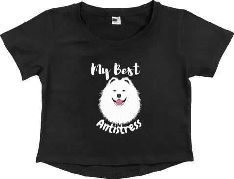 Samoyed Best Antistress, Cute Samoyed Dog