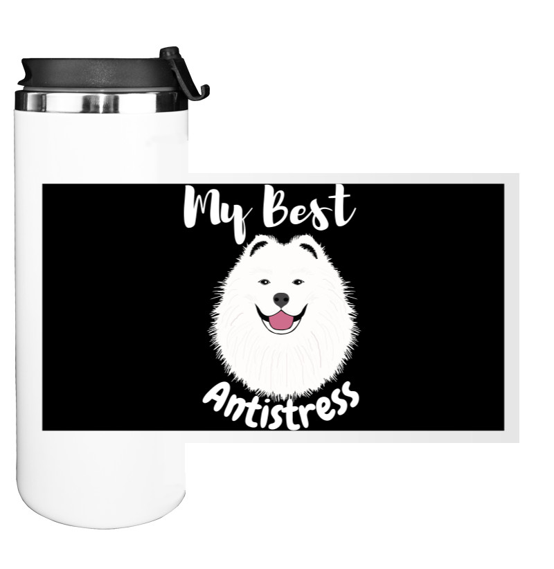 Samoyed Best Antistress, Cute Samoyed Dog