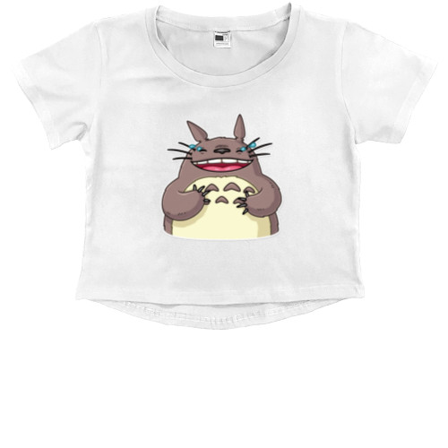 Totoro Fun