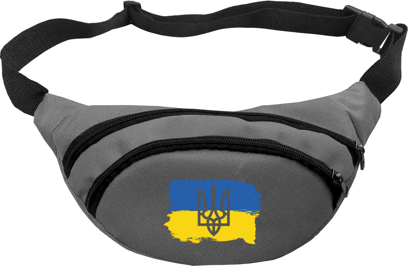 Флаг Украины и Герб Украины