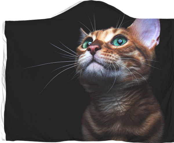 Котики - Плед з капюшоном 3D - Кошка Арт - Mfest
