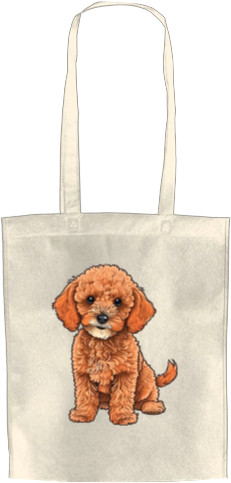 Toy Poodle