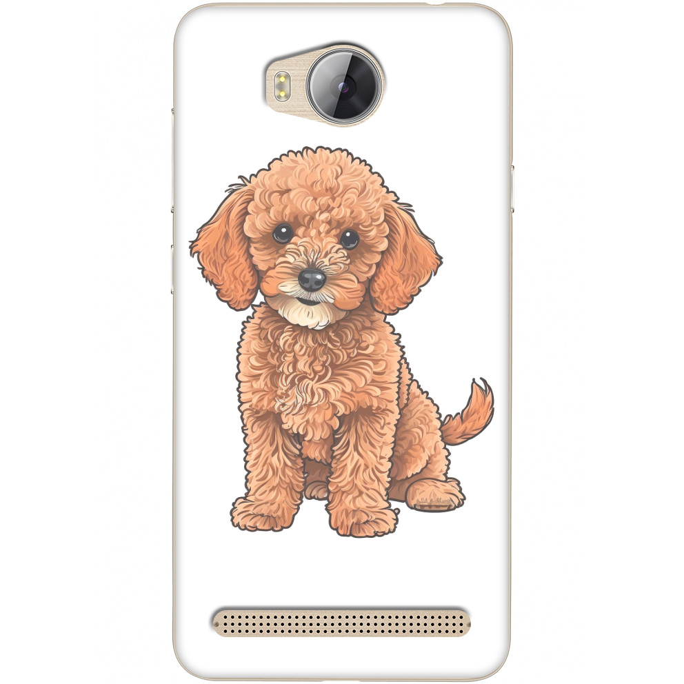 Toy Poodle