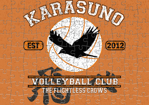 Karasuno volleyball team