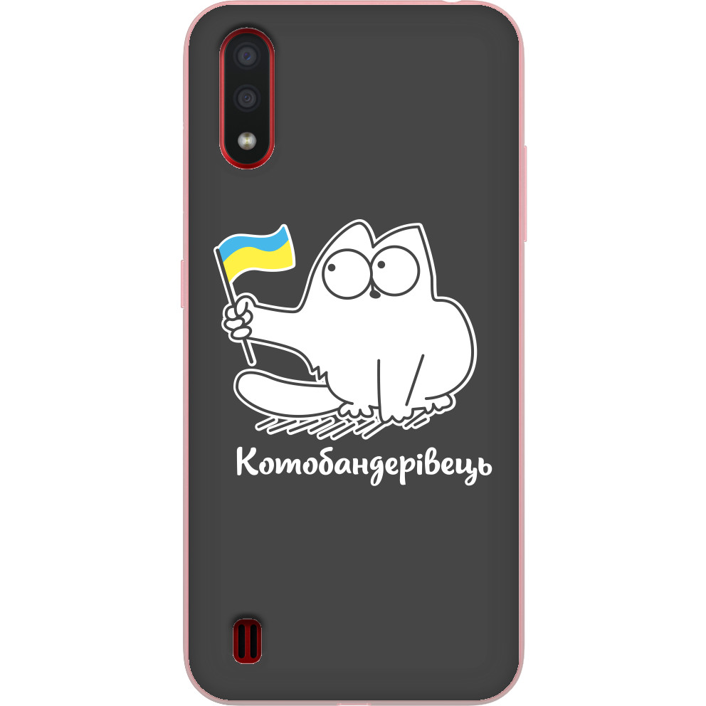 Кот патриот