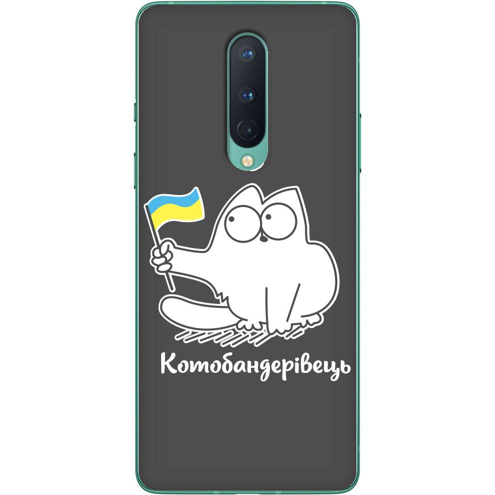 Кот патриот