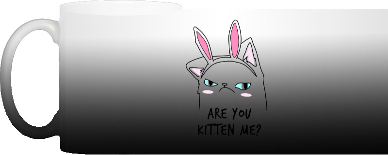 Are you kitten me