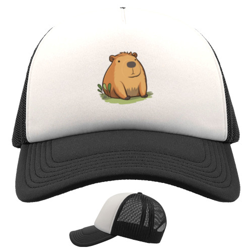 Capybara puffy