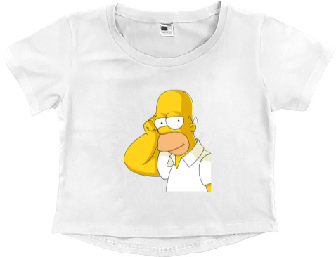 Homer Simpson 5