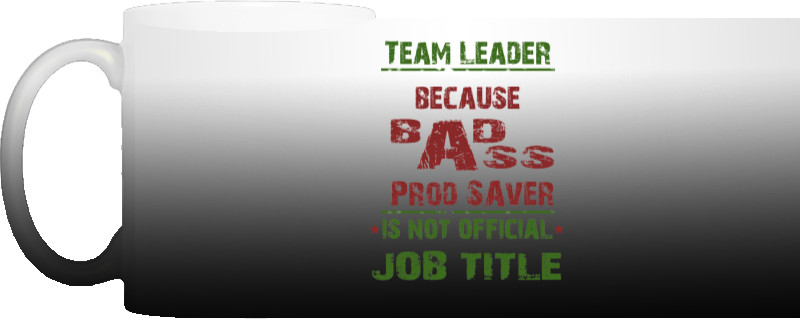 Team leader